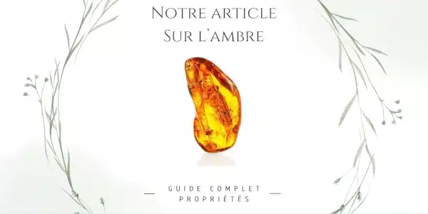 Image permettant d'accéder à notre article de blog sur l'ambre