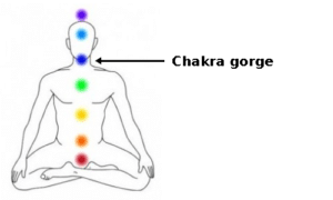 chakra gorge