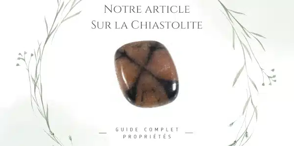 Image pour accéder à notre article de blog sur la chiastolite