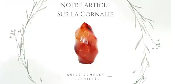 Image permettant d'accéder à notre article de blog sur la cornaline