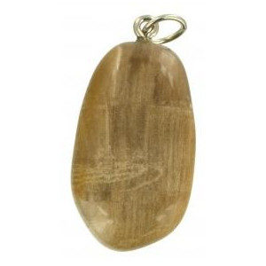 Photo d'un pendentif en pierre de bois fossilisé