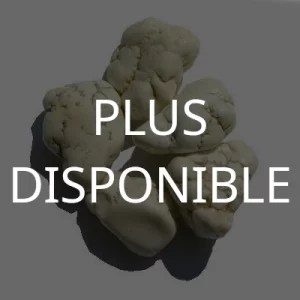pierre roulée magnésite (nodule)