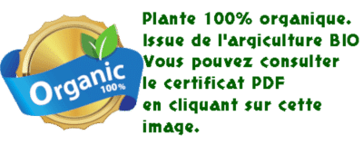plante organique