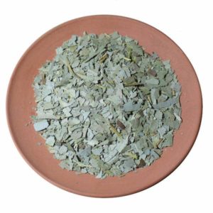 Eucalyptus