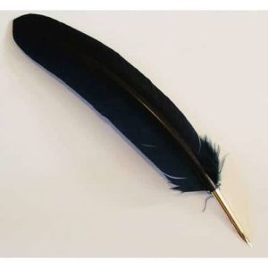 plume noire