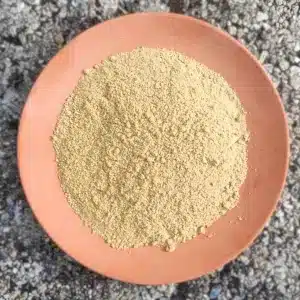 Encens résine Asa foetida