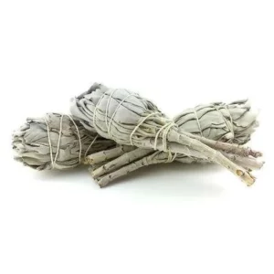 Tresse de sauge blanche mini