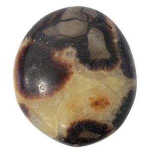 galet septaria