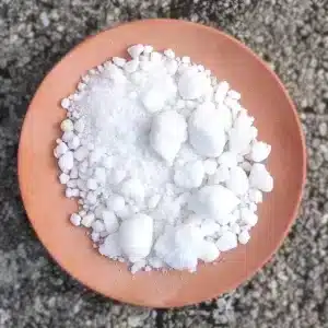 Encens résine camphre