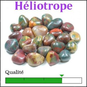 Héliotrope