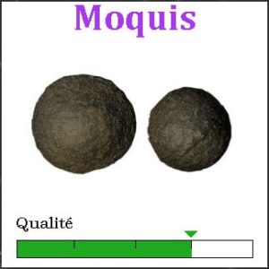 Moquis