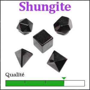 Shungite