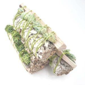 tresse-sauge-blanche-phalaris-pistachier