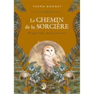 Le chemin de la sorcellerie progresser dans son art