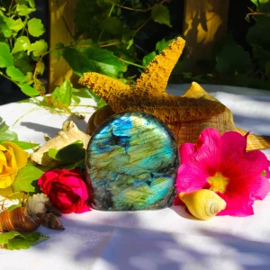 pierre polie labradorite N°3301