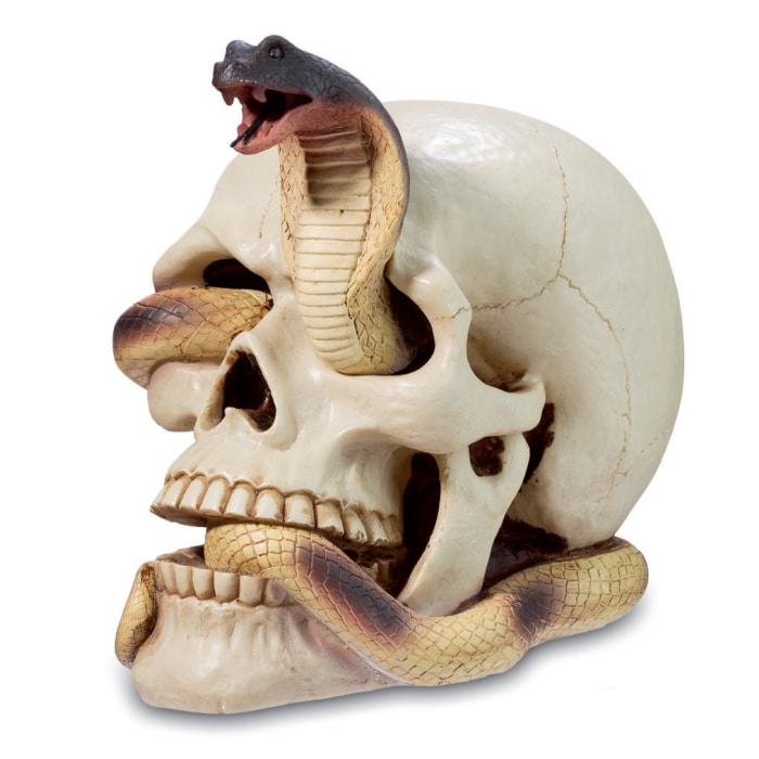 crâne serpent en résine