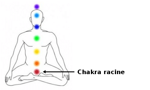 chakra racine