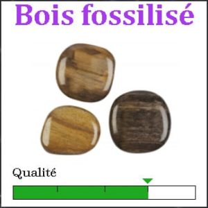 Bois fossilisé