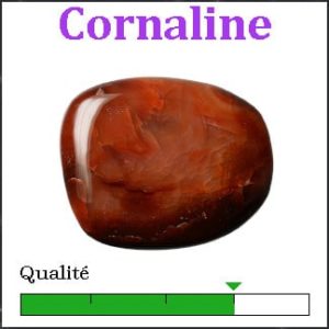 Cornaline