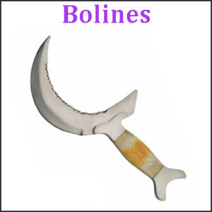 Bolines