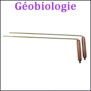 Géobiologie
