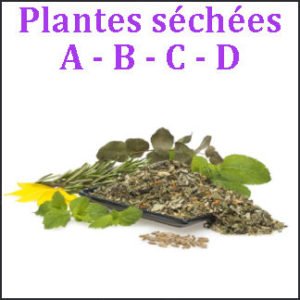 Plantes A-B-C-D