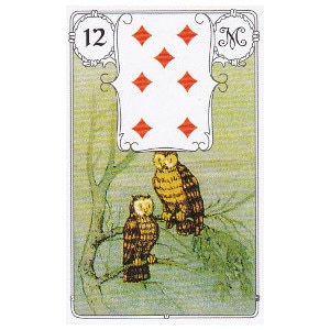 oiseaux petit lenormand