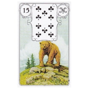 L'ours petit lenormand