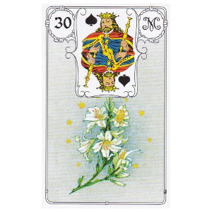 Le lys petit lenormand