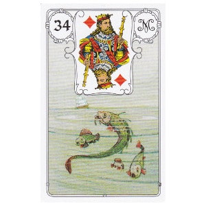 Les poissons petit lenormand