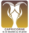 pierres & minéraux capricorne