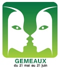 pierres & minéraux gémeaux