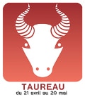 pierres & minéraux taureau