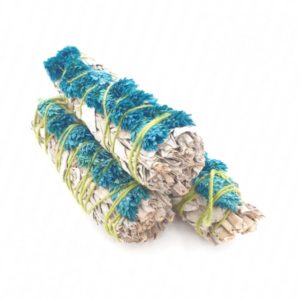 tresse-sauge-blanche-phalaris