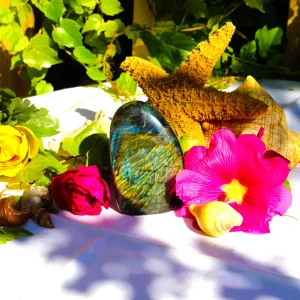 Pierre polie labradorite N°3302