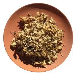 Photo d'acacia séché dans une coupelle en terre cuite