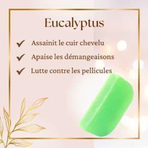 Shampoing solide : Eucalyptus