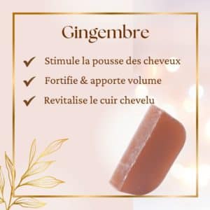 shampoing solide au gingembre